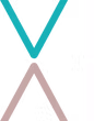 Vitruvian Intelligence logo